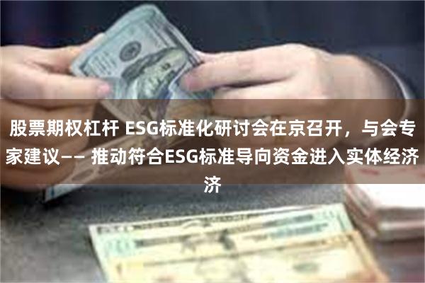 股票期权杠杆 ESG标准化研讨会在京召开，与会专家建议—— 推动符合ESG标准导向资金进入实体经济