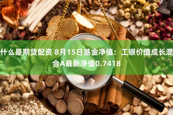 什么是期货配资 8月15日基金净值：工银价值成长混合A最新净值0.7418