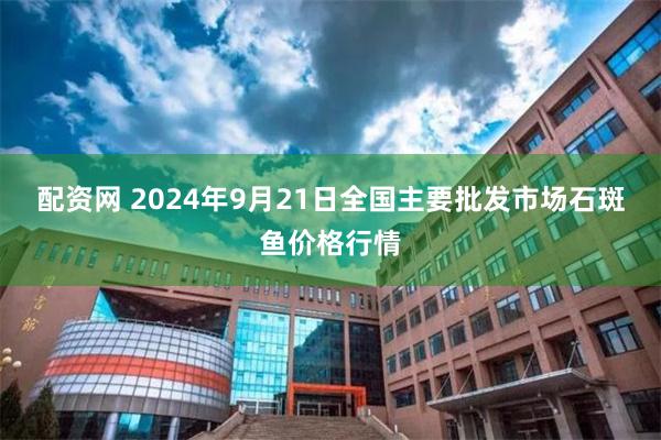 配资网 2024年9月21日全国主要批发市场石斑鱼价格行情