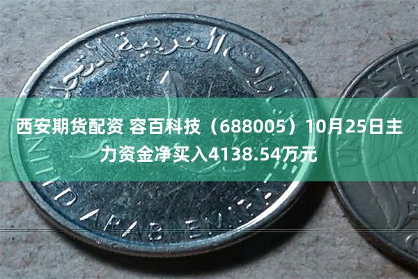 西安期货配资 容百科技（688005）10月25日主力资金净买入4138.54万元