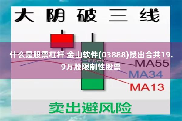 什么是股票杠杆 金山软件(03888)授出合共19.9万股限制性股票