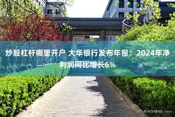 炒股杠杆哪里开户 大华银行发布年报：2024年净利润同比增长6%