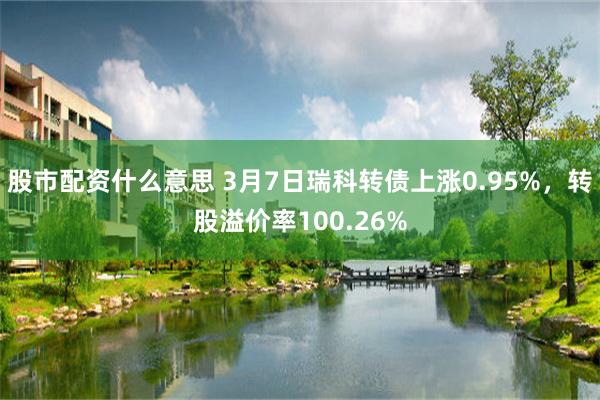 股市配资什么意思 3月7日瑞科转债上涨0.95%，转股溢价率100.26%