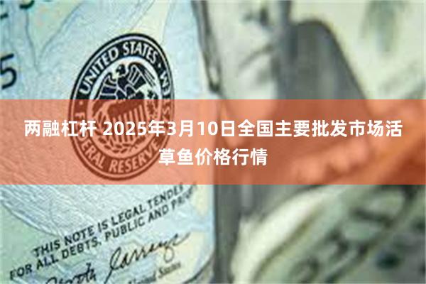 两融杠杆 2025年3月10日全国主要批发市场活草鱼价格行情